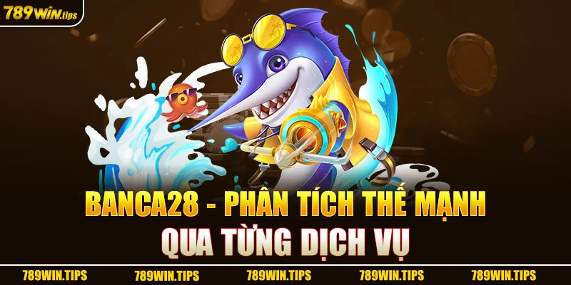 Banca28 - Phân tích thế mạnh qua từng dịch vụ 