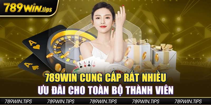 Nhà cái cung cấp rất nhiều ưu đãi cho toàn bộ thành viên