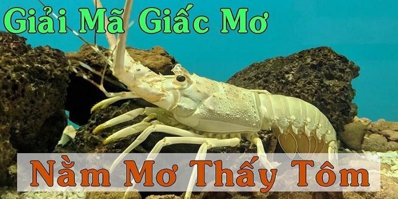 Điềm báo giấc mơ thấy tôm