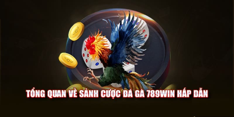 Chọn sân chơi chọi gà trực tuyến uy tín như 789Win