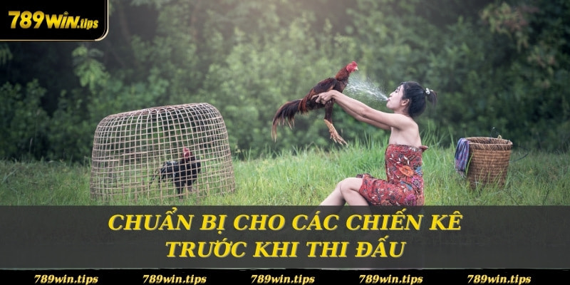 Chuẩn bị cho các chiến kê trước khi thi đấu