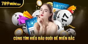 Tìm hiểu về đầu đuôi miền Bắc