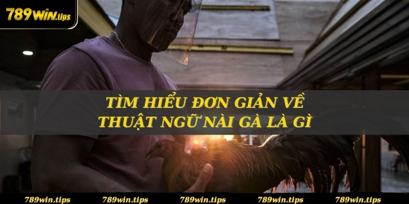 Tìm hiểu đơn giản về thuật ngữ nài gà