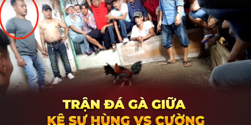 Trận đá gà giữa kê sư Hùng vs Cường